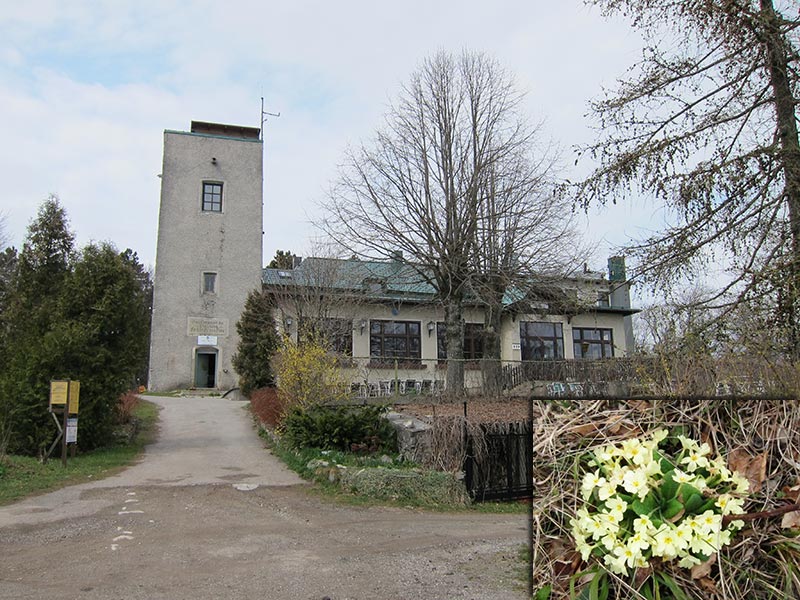 lindkogel